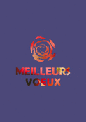 Voeux flamboyants et rose &eacute;clatante 2026